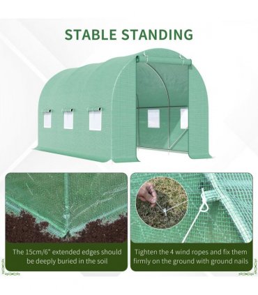 Walk-in Tunnel Greenhouse