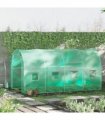 Walk-in Tunnel Greenhouse