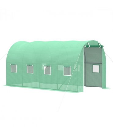 Walk-in Tunnel Greenhouse
