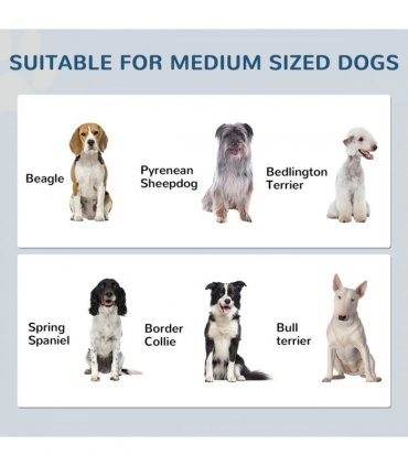 PawHut Dog Feeding Station with Storage, Pet Feeding Station with Dog Bowls