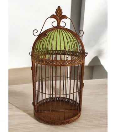 Durable Rustic Metal Bird Cage Wall Mirror 63cm Fleur De Lys Design Vintage-Style Garden Indoor & Outdoor Use Décor Perfect as a Decorative Mirror or Flower Display. (Brown)