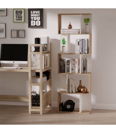 Shelf Book/Storage Cabinet