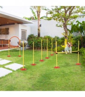 Dog agility training equipment