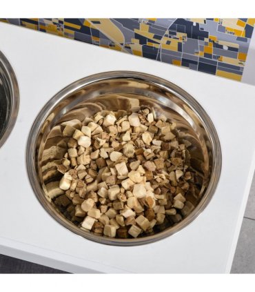 Elevated Dog Bowl