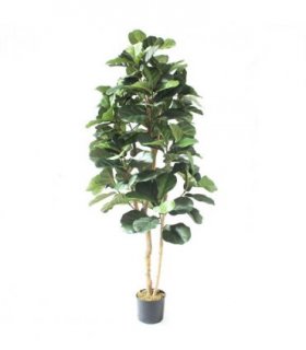 180cm Artificial Fiddle Fig Deluxe Tree