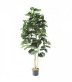 180cm Artificial Fiddle Fig Deluxe Tree