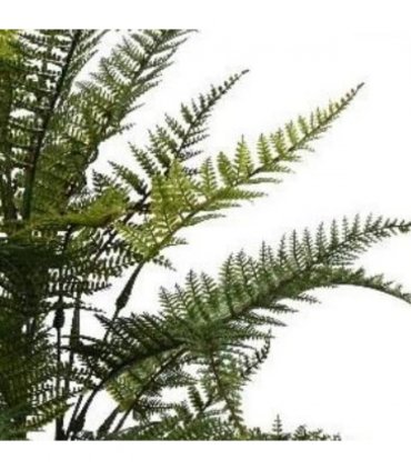 Pack of 6 x 78cm Fire Retardant Artificial Fern Foliage Branch