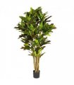 150cm Artificial Croton Tree