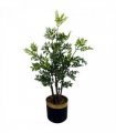 60cm Artificial Nandina Bonsai Ficus Tree