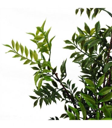 60cm Artificial Nandina Bonsai Ficus Tree