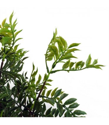 60cm Artificial Nandina Bonsai Ficus Tree