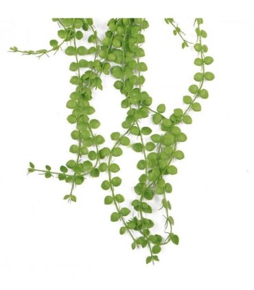 Pack of 6 x Hanging UV and Fire Resistant Artificial Plant Pearl String 92cm