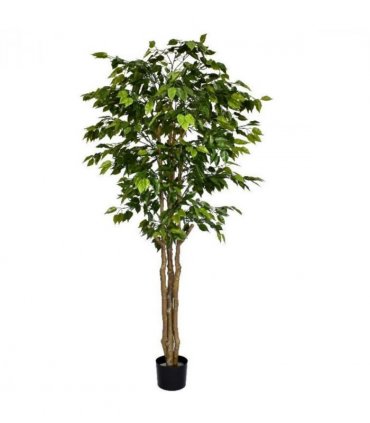 180cm Fire Retardant Deluxe Retusa Ficus Tree With 1134 Leaves
