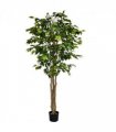 180cm Fire Retardant Deluxe Retusa Ficus Tree With 1134 Leaves