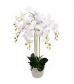 85cm Artificial Deluxe Bush Orchid - White Flowers White Pot