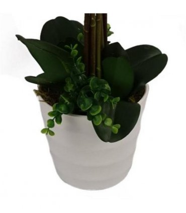 85cm Artificial Deluxe Bush Orchid - White Flowers White Pot