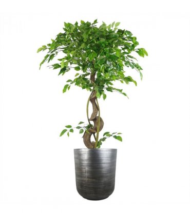 39cm x 33cm Coya Silver Ridged Planter Large Composite Plant Pot