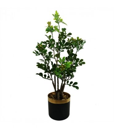 60cm Artificial Aglaia Odorata Bonsai Ficus Tree