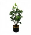 60cm Artificial Aglaia Odorata Bonsai Ficus Tree