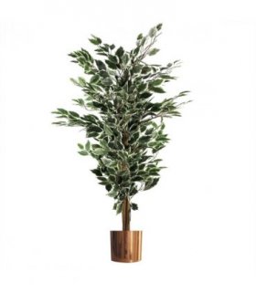 130cm Variegated White/Green Bushy Ficus Tree Copper Metal Planter