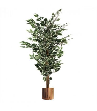 130cm Variegated White/Green Bushy Ficus Tree Copper Metal Planter