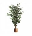 130cm Variegated White/Green Bushy Ficus Tree Copper Metal Planter