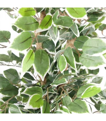 130cm Variegated White/Green Bushy Ficus Tree Copper Metal Planter