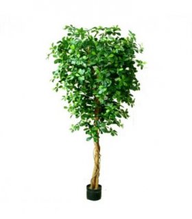 180cm Fire Retardant Black Olive Tree with 2925 Leaves and Natural Trunk