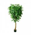 180cm Fire Retardant Black Olive Tree with 2925 Leaves and Natural Trunk