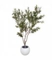 200cm XXL Artificial Olive Tree with Decorative Planter