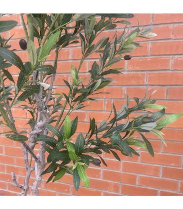 200cm XXL Artificial Olive Tree with Decorative Planter