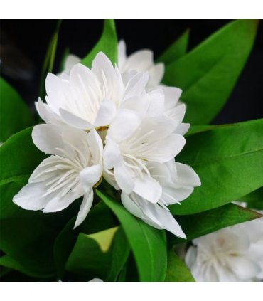 3x 18cm Artificial Freesia Plants Pink, White, Blue Flowering