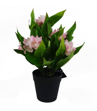 3x 18cm Artificial Freesia Plants Pink, White, Blue Flowering