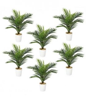 Pack of 6 x 50cm Artificial Mini Palm Tree
