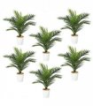 Pack of 6 x 50cm Artificial Mini Palm Tree