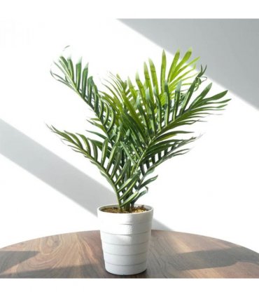 Pack of 6 x 50cm Artificial Mini Palm Tree