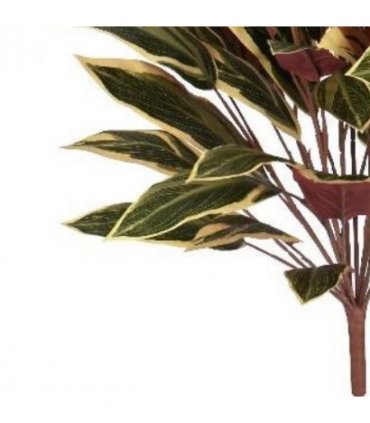 90cm Fire Retardant Caladium Bush with white edge x15w/49Lvs