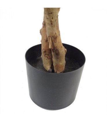 130cm Variegated White/Green Bushy Ficus Tree Silver Metal Planter