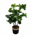 60cm Artificial Tropical Bonsai Ficus Tree