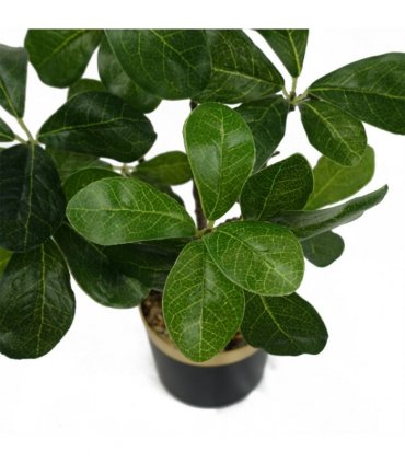 60cm Artificial Tropical Bonsai Ficus Tree