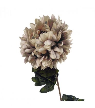 Pack of 6 x 75cm Extra Large Reflex Chrysanthemum - Mushroom