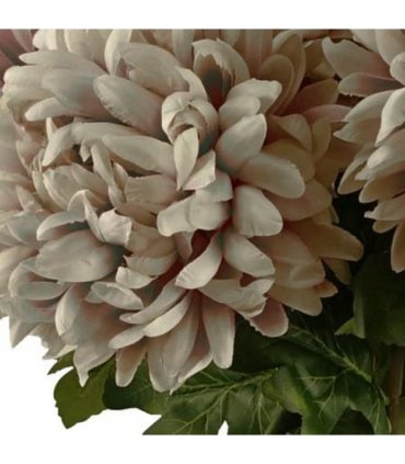 Pack of 6 x 75cm Extra Large Reflex Chrysanthemum - Mushroom