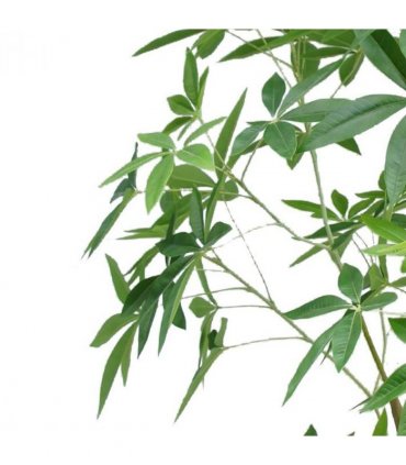 210cm Artificial Money Tree Pachira Realistic Faux Tree