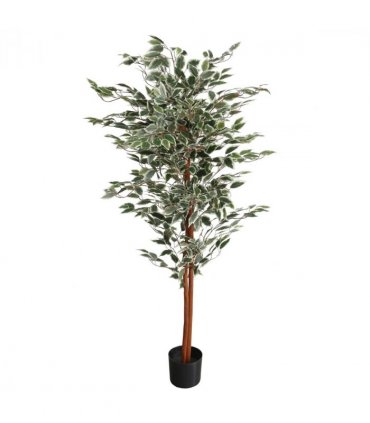 160cm Artificial Ficus with Natural Variegated Leaves
