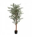 160cm Artificial Ficus with Natural Variegated Leaves