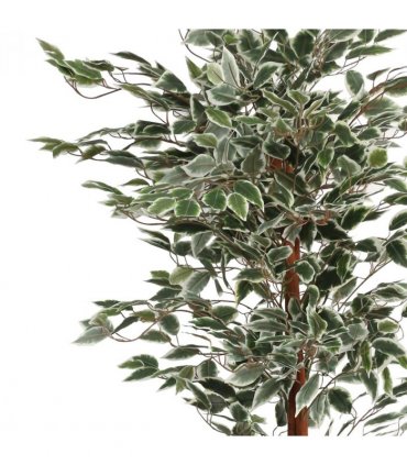 160cm Artificial Ficus with Natural Variegated Leaves