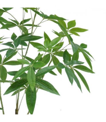 120cm Artificial Money Plant Pachira Realistic Faux Tree