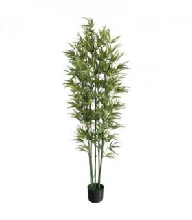 180cm Natural Green Bamboo Artificial