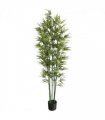 180cm Natural Green Bamboo Artificial