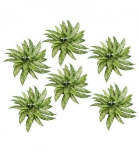 Pack of 6 x 45cm Fire Retardant Artificial Aglaonema Bush